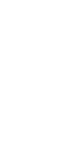 bg-dot